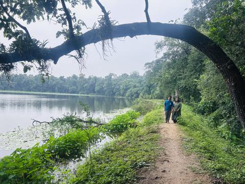 Lakeside path under an arching tree branch