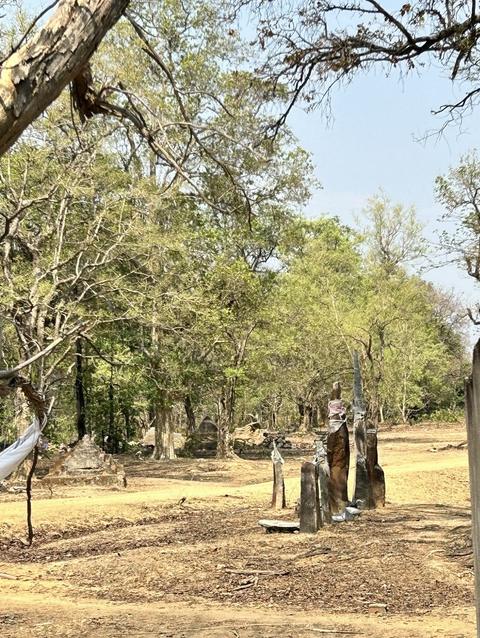 Memorial stones in a forest clearing