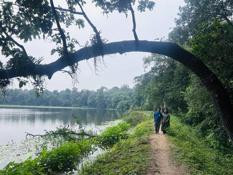 The forests of Gadchiroli